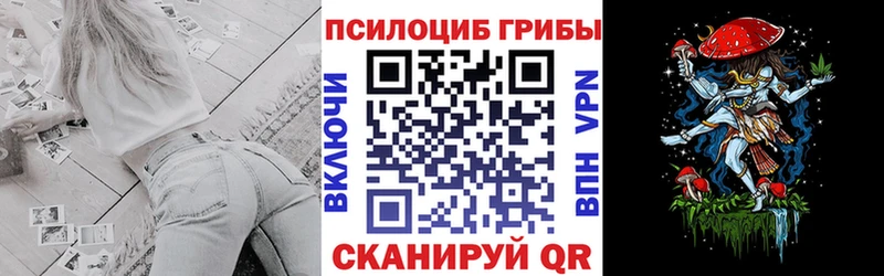 гидра ссылки  Невьянск  Псилоцибиновые грибы Psilocybe 